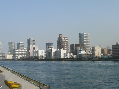 Tokyo Bay